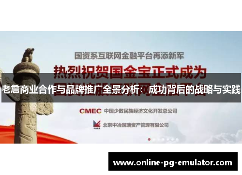 老詹商业合作与品牌推广全景分析：成功背后的战略与实践