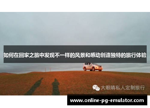 如何在回家之旅中发现不一样的风景和感动创造独特的旅行体验