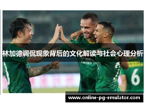 林加德调侃现象背后的文化解读与社会心理分析 林加德调侃现象背后的文化解读与社会心理分析