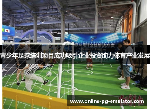 青少年足球培训项目成功吸引企业投资助力体育产业发展