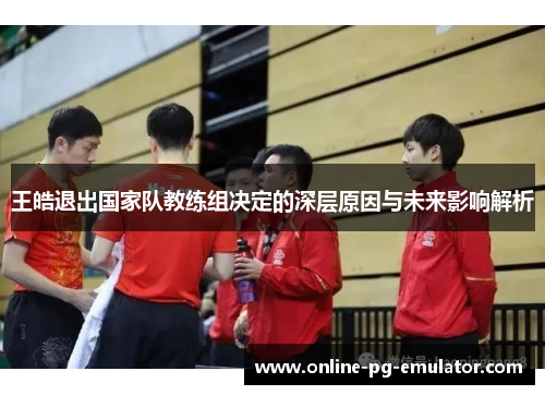 王皓退出国家队教练组决定的深层原因与未来影响解析