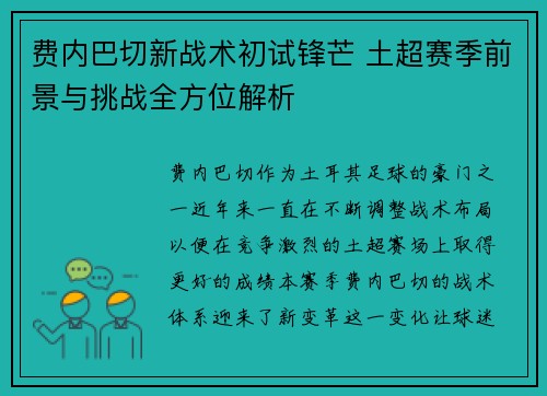 费内巴切新战术初试锋芒 土超赛季前景与挑战全方位解析