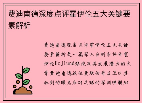 费迪南德深度点评霍伊伦五大关键要素解析