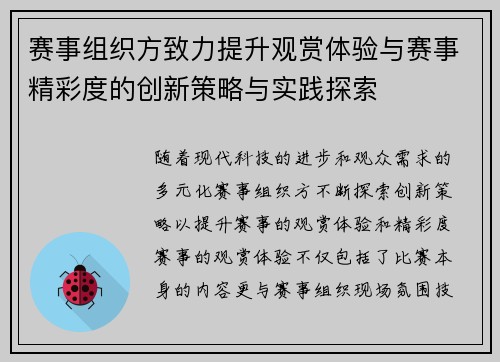 赛事组织方致力提升观赏体验与赛事精彩度的创新策略与实践探索